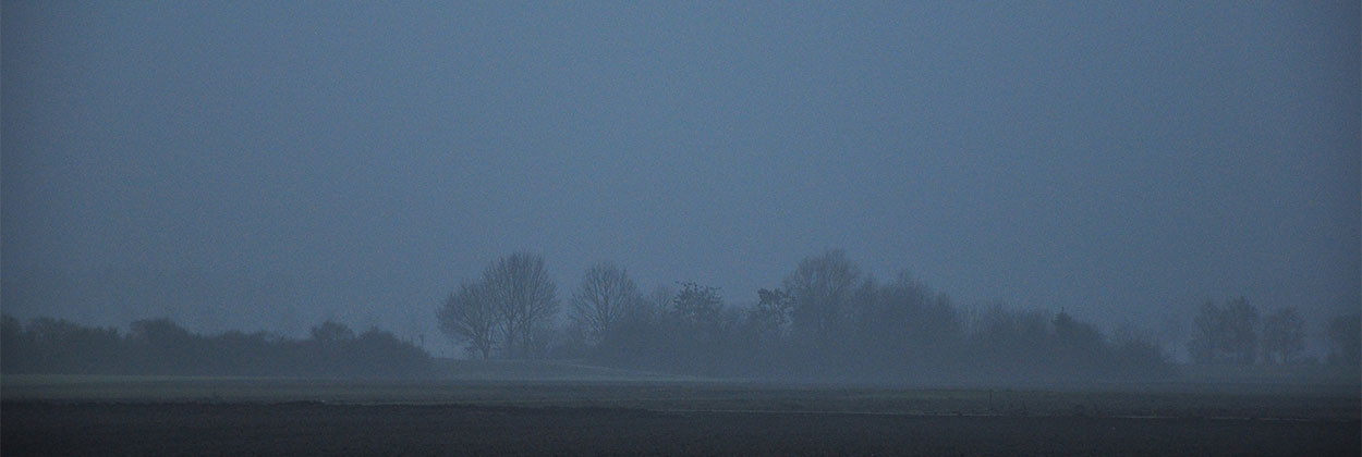 landscape-1-1250x420