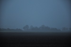 landscape-1-1250x830