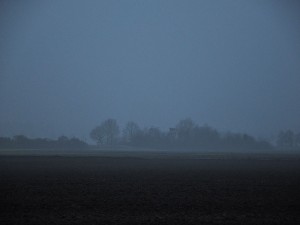 landscape-1-800x600