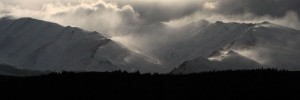 landscape-3-1250x420