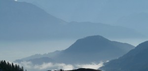 landscape-4-1250x600